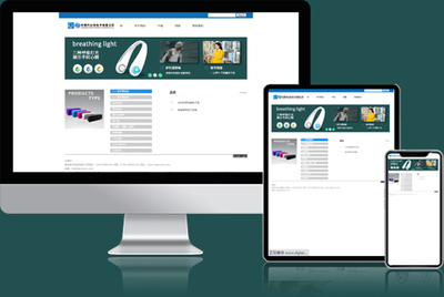 專(zhuān)業(yè)中英文與高端定制網(wǎng)站建設(shè) 米可網(wǎng)絡(luò)的全面網(wǎng)站技術(shù)服務(wù)