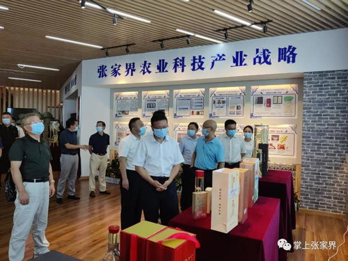 胡丘陵調(diào)研張家界王者天下生物科技，強(qiáng)調(diào)網(wǎng)站技術(shù)服務(wù)在企業(yè)數(shù)字化轉(zhuǎn)型中的關(guān)鍵作用